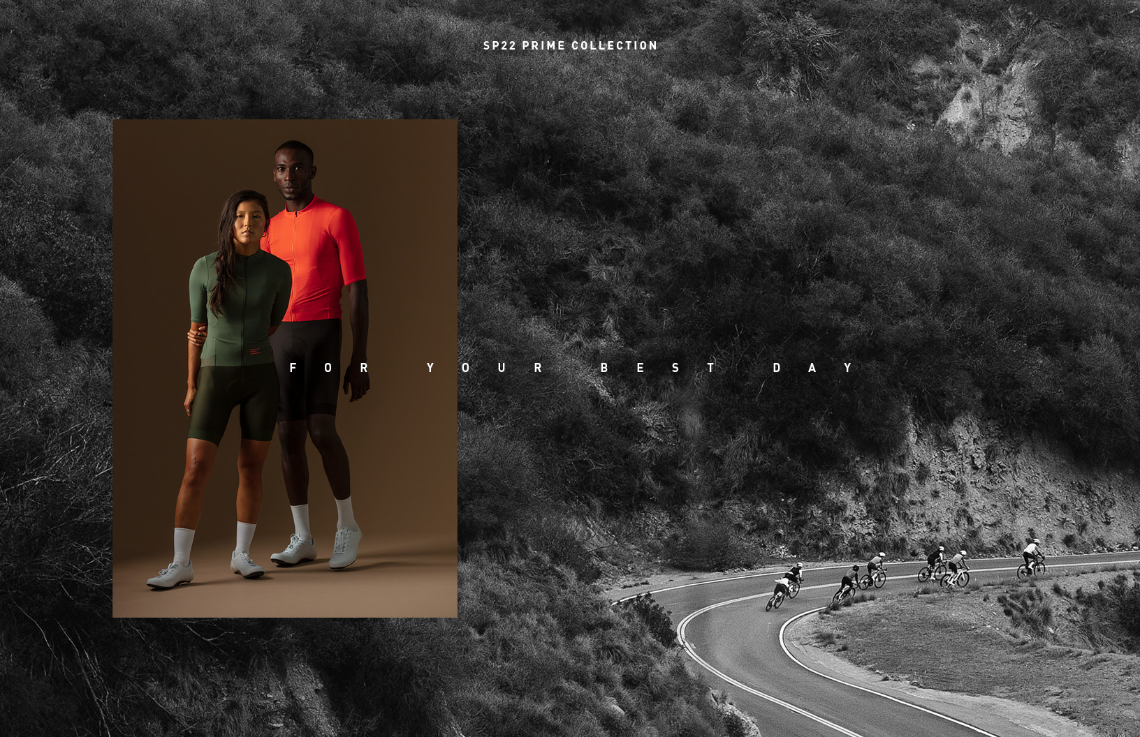 Specialized - Image 4