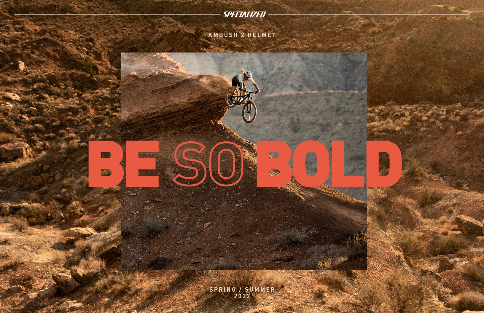 Specialized - Image 13